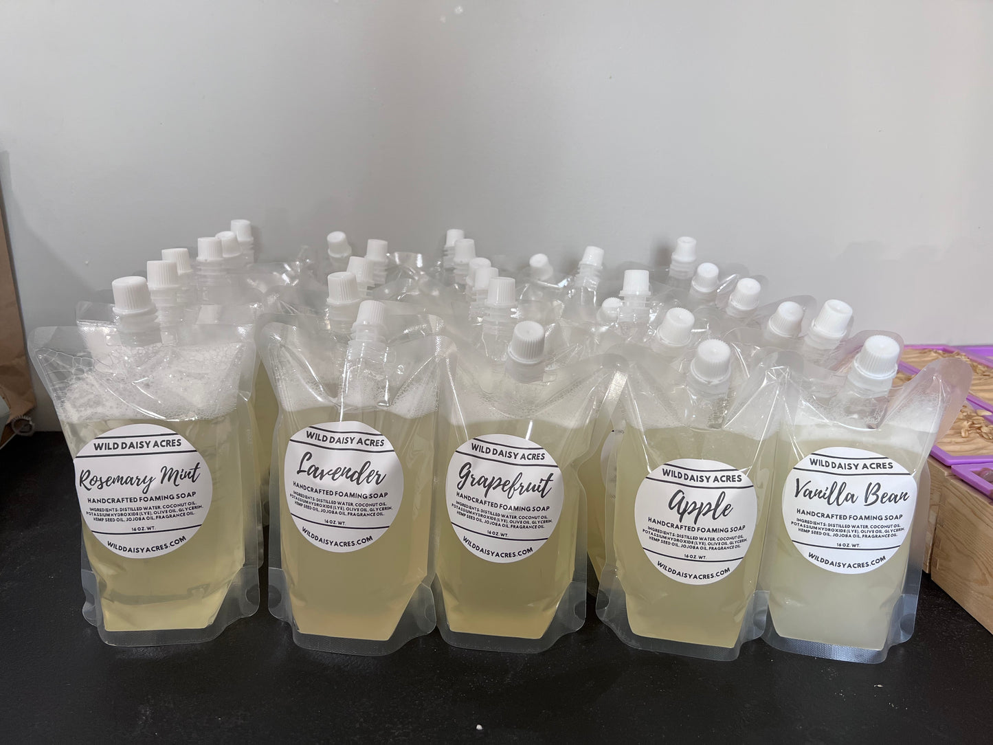 Foaming Hand Soap Pouch with Scent Pod